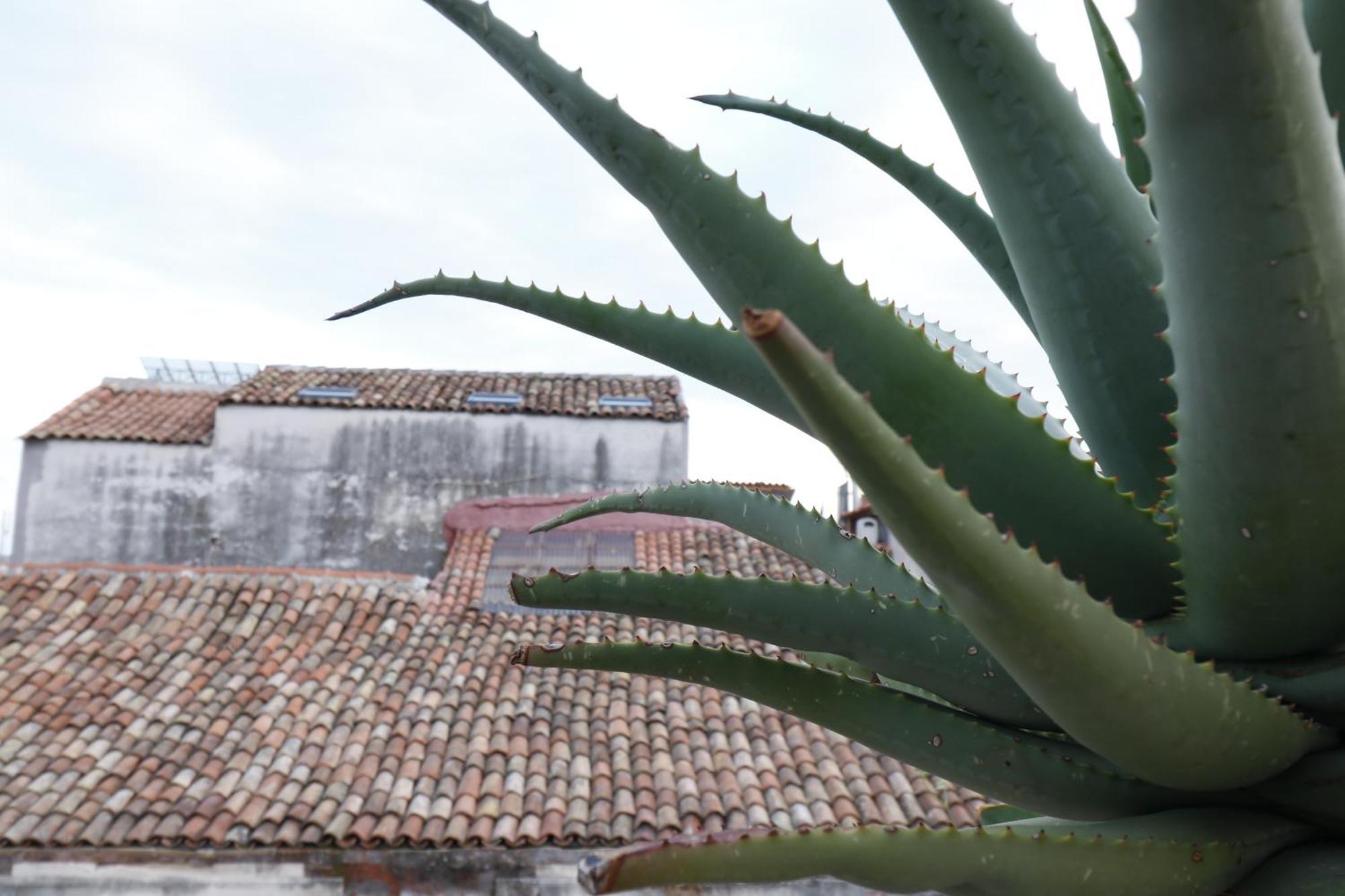 Marike Home Catania Bagian luar foto